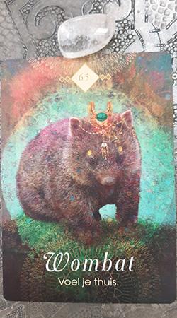 Kaart 1: Wombat - Voel je thuis Kaart 1: Wombat - Voel je thuis