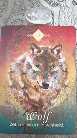 Kaart 2: Wolf - Zet kennis om in wijsheid Kaart 2: Wolf - Zet kennis om in wijsheid