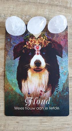 Kaart 2: Hond - Wees trouw aan je liefde Kaart 2: Hond - Wees trouw aan je liefde